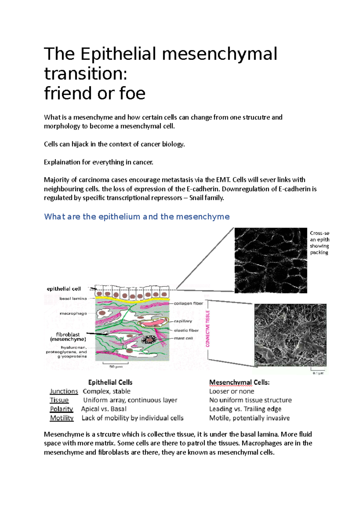 Cancer and Metastasis - The Epithelial mesenchymal transition - The ...