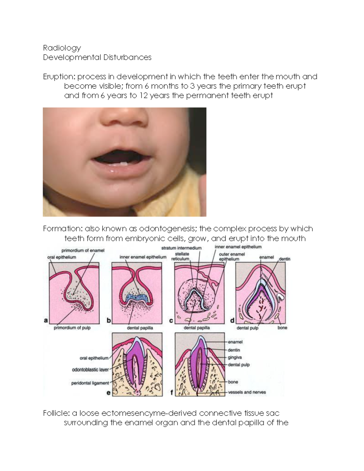 Radiography Anomalies Worksheet (pdf) Radiology Developmental
