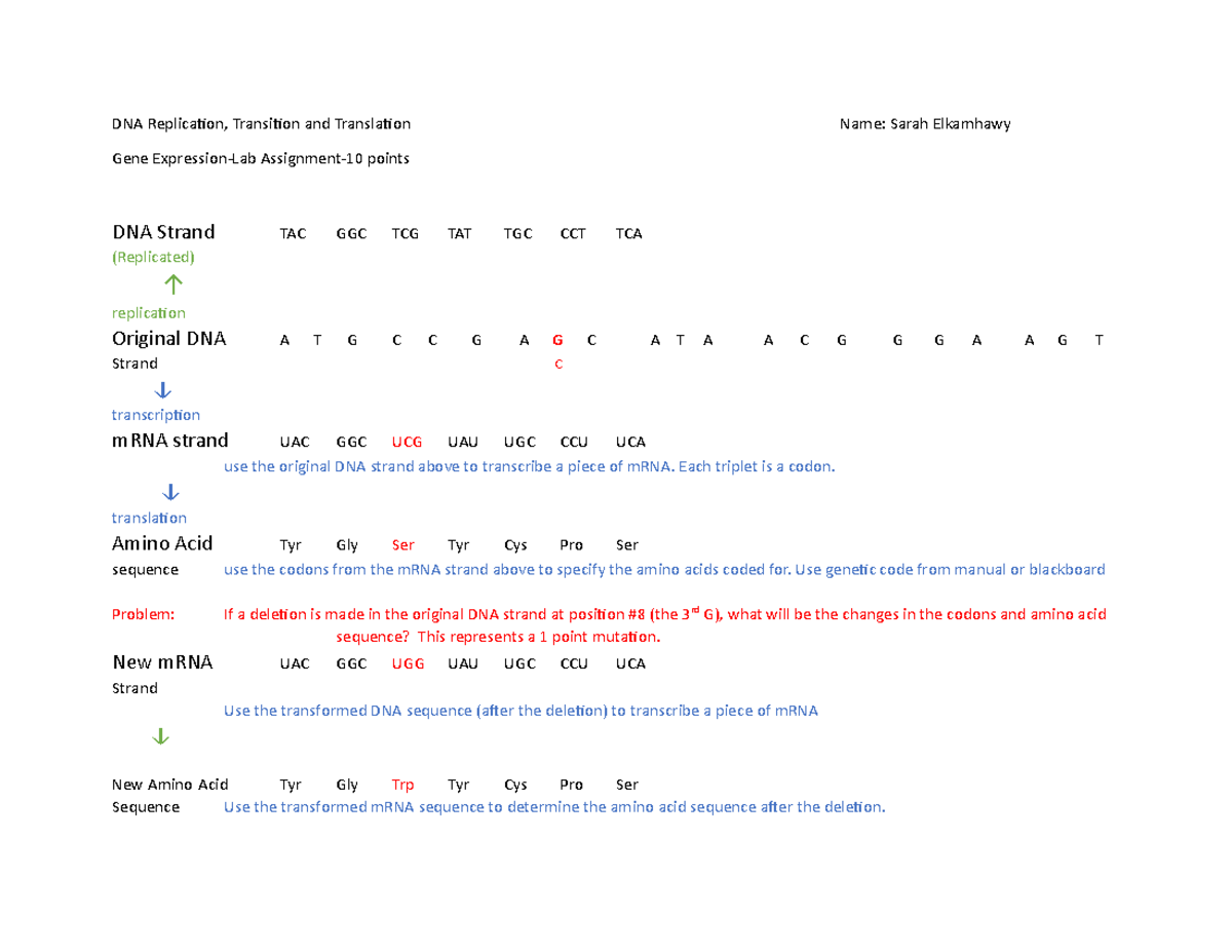 Gene Expressionlab assignment2020 DNA Replication, Transition and