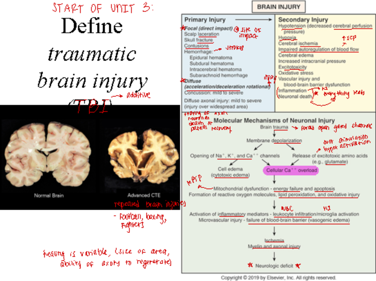 Neruopathophysiology Part 3(updated) - Define traumatic brain injury ...