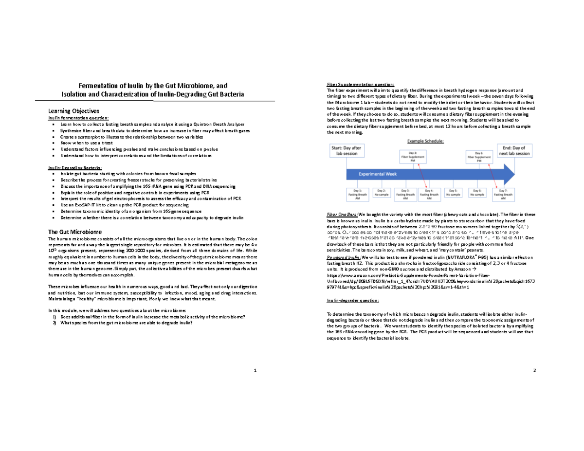 Microbiome module W23 - Fermentation of Inulin by the Gut Microbiome ...