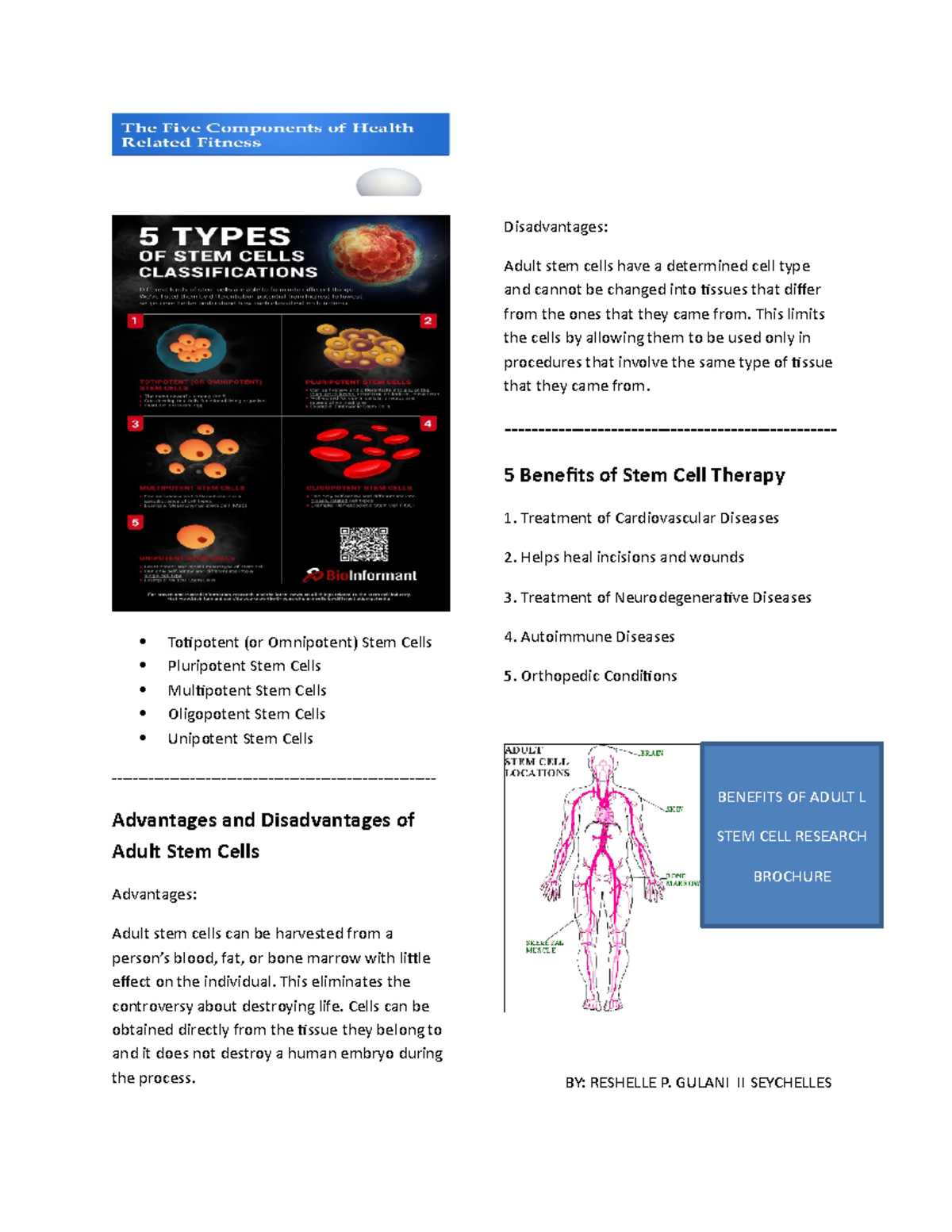 ABNO HEHE Totipotent (or Omnipotent) Stem Cells Pluripotent Stem