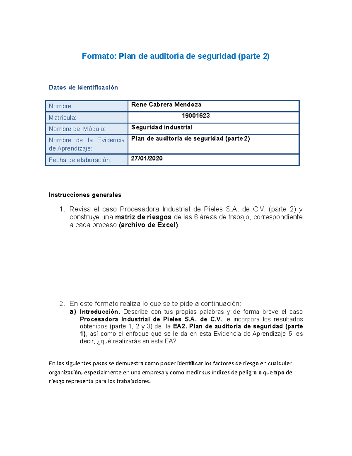 Rene Plan Auditoria Seguridad Ll Formato Plan De Auditor A De