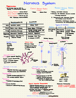 Bio12 ARG Answer Key 08 - Chapter 8: An Introduction To Metabolism 8 ...