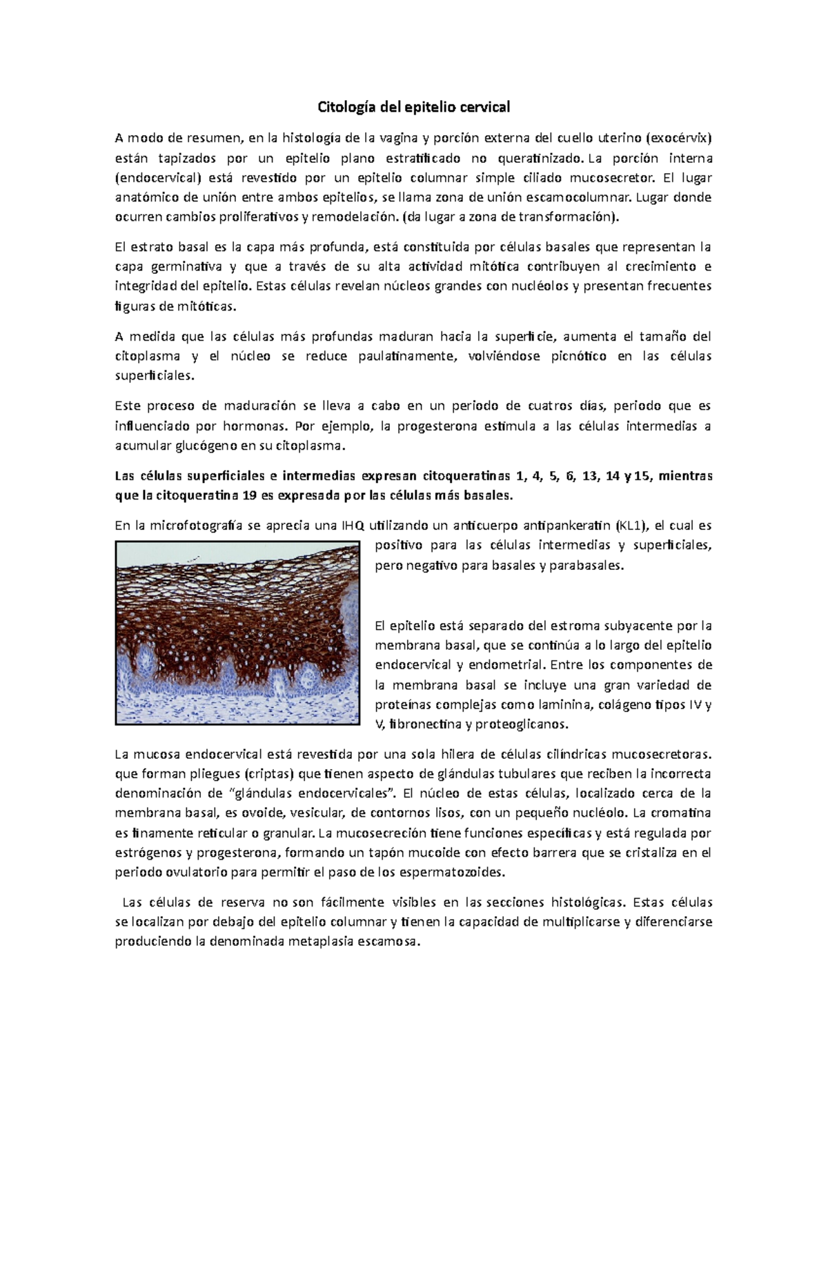 predominio de celulas epiteliales escamosas intermedias