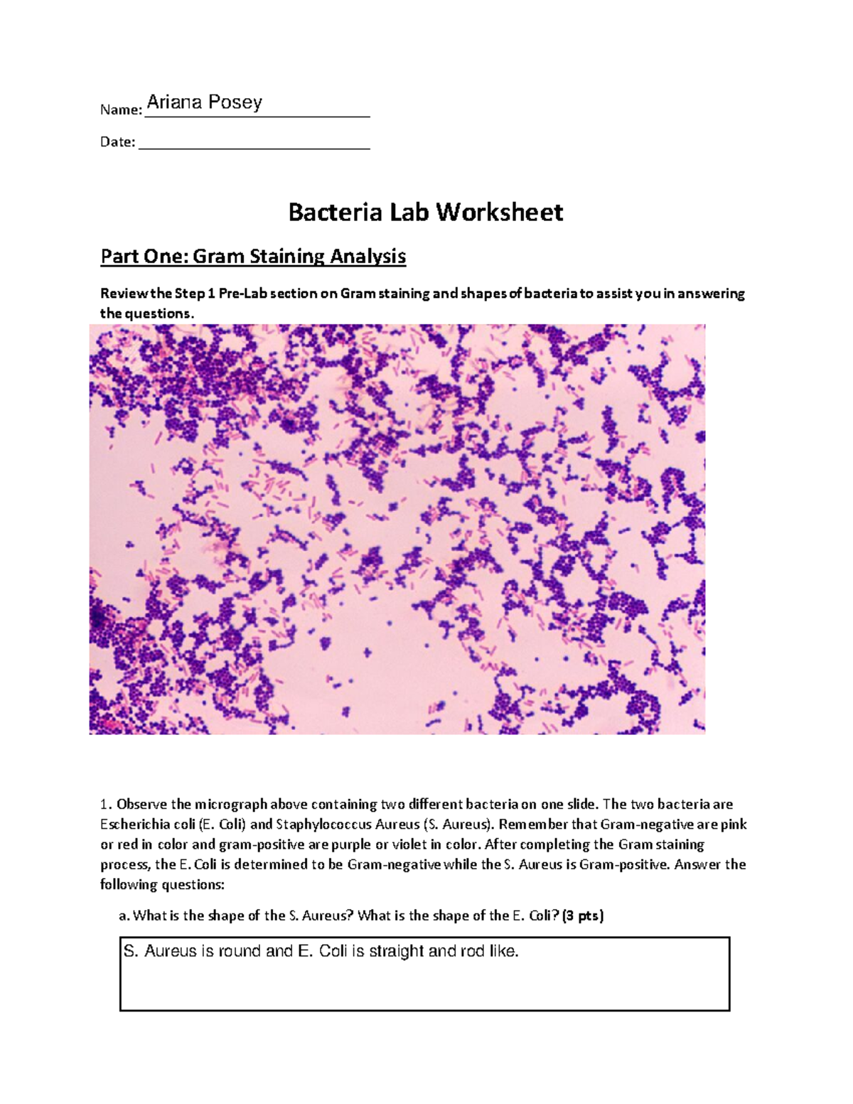 Bacteria+Lab+worksheet Name _____________________________ Date