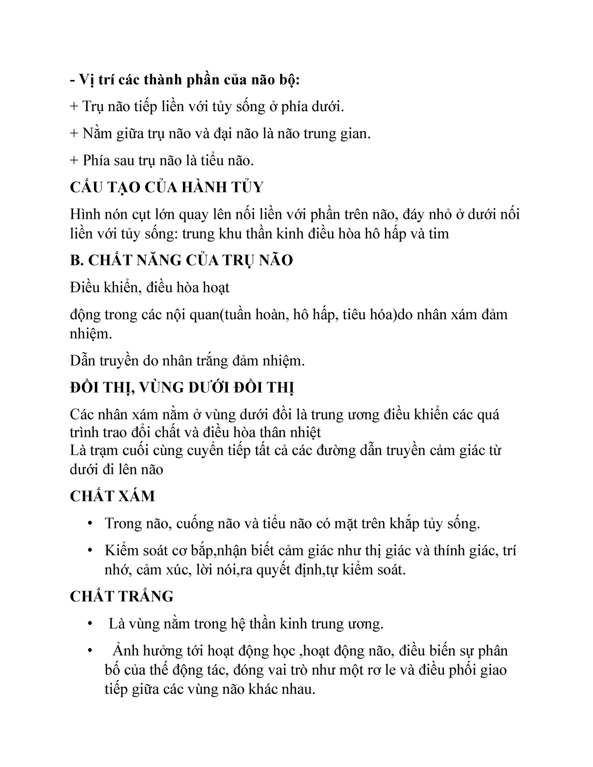 Vị trí các thành phần của não bộ là gì?
