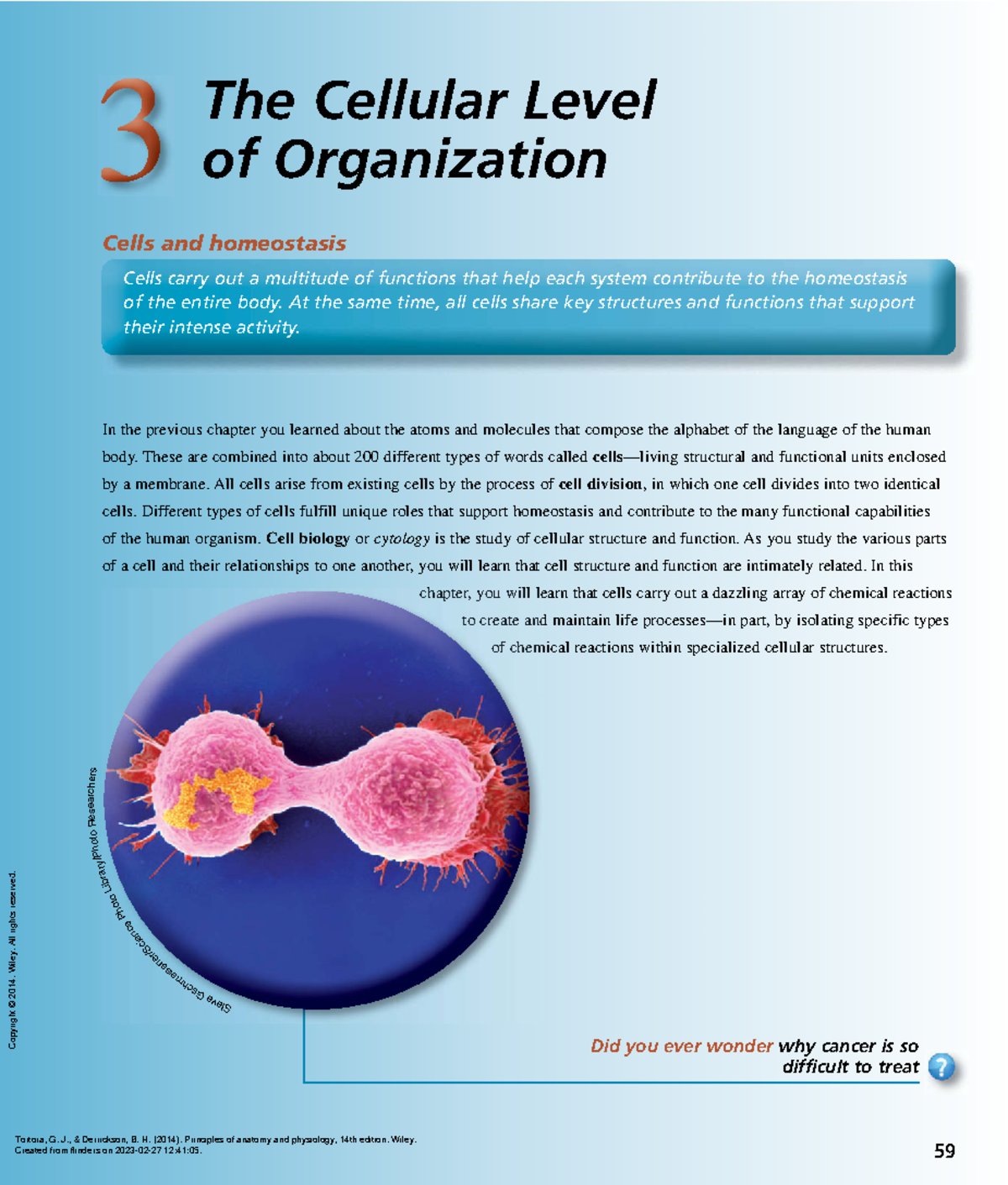 3 THE Cellular Level OF Organization Principles of Anatomy and
