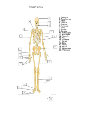 IV-3 Assigmt- Module 2 Safety & Mobility Amarachi Dimkpa - Module 2 ...