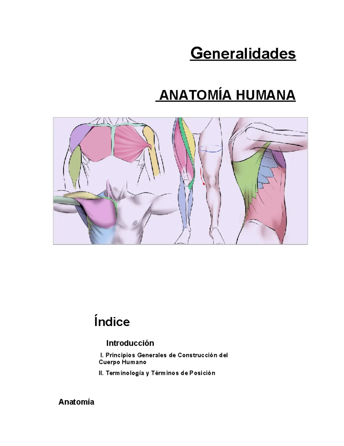 Apunte Generalidades Anatomia Humana Generalidades AnatomÍa Humana Índice Introducción I