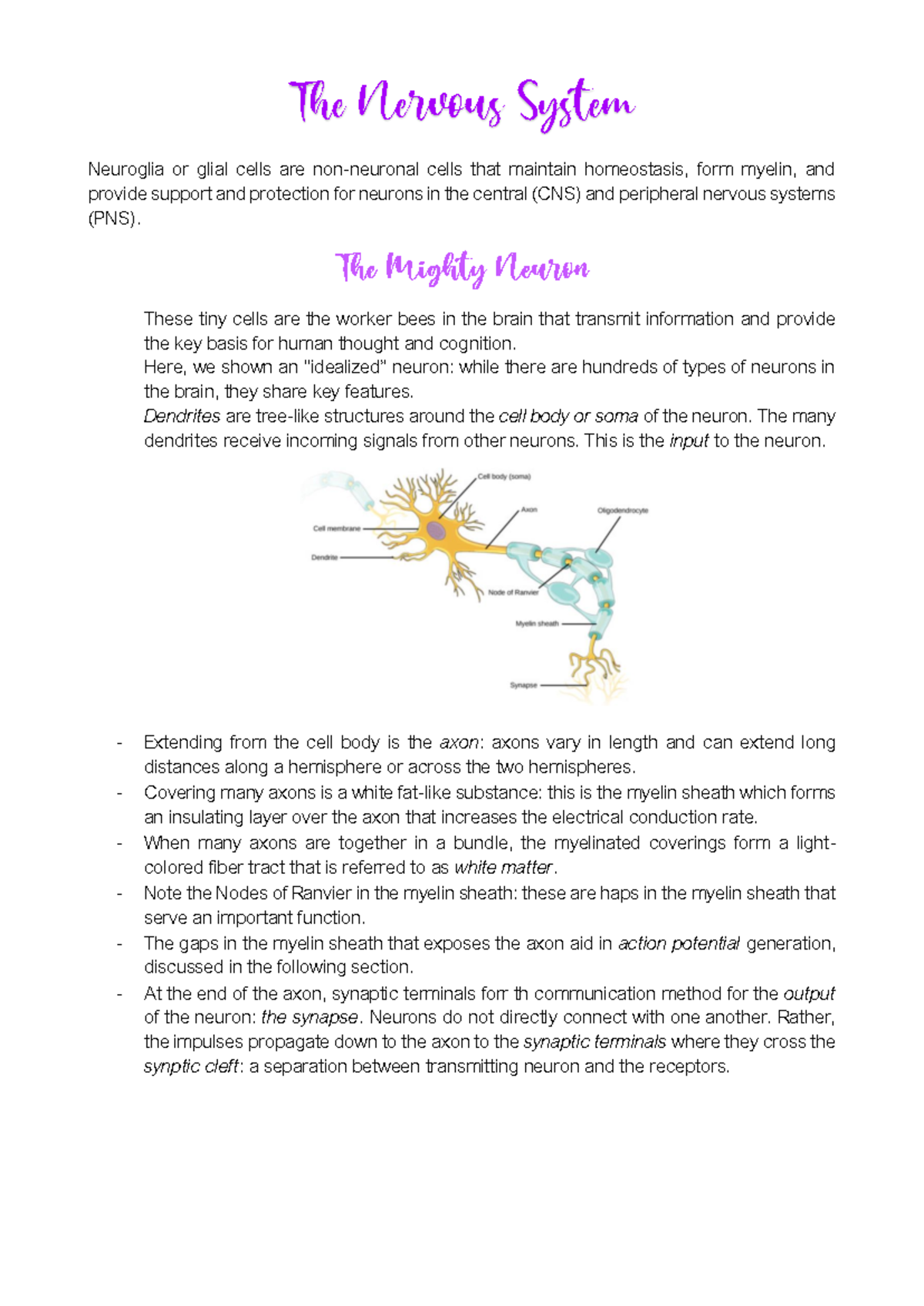 Neuroscience Notes - Neuroglia or glial cells are non-neuronal cells ...