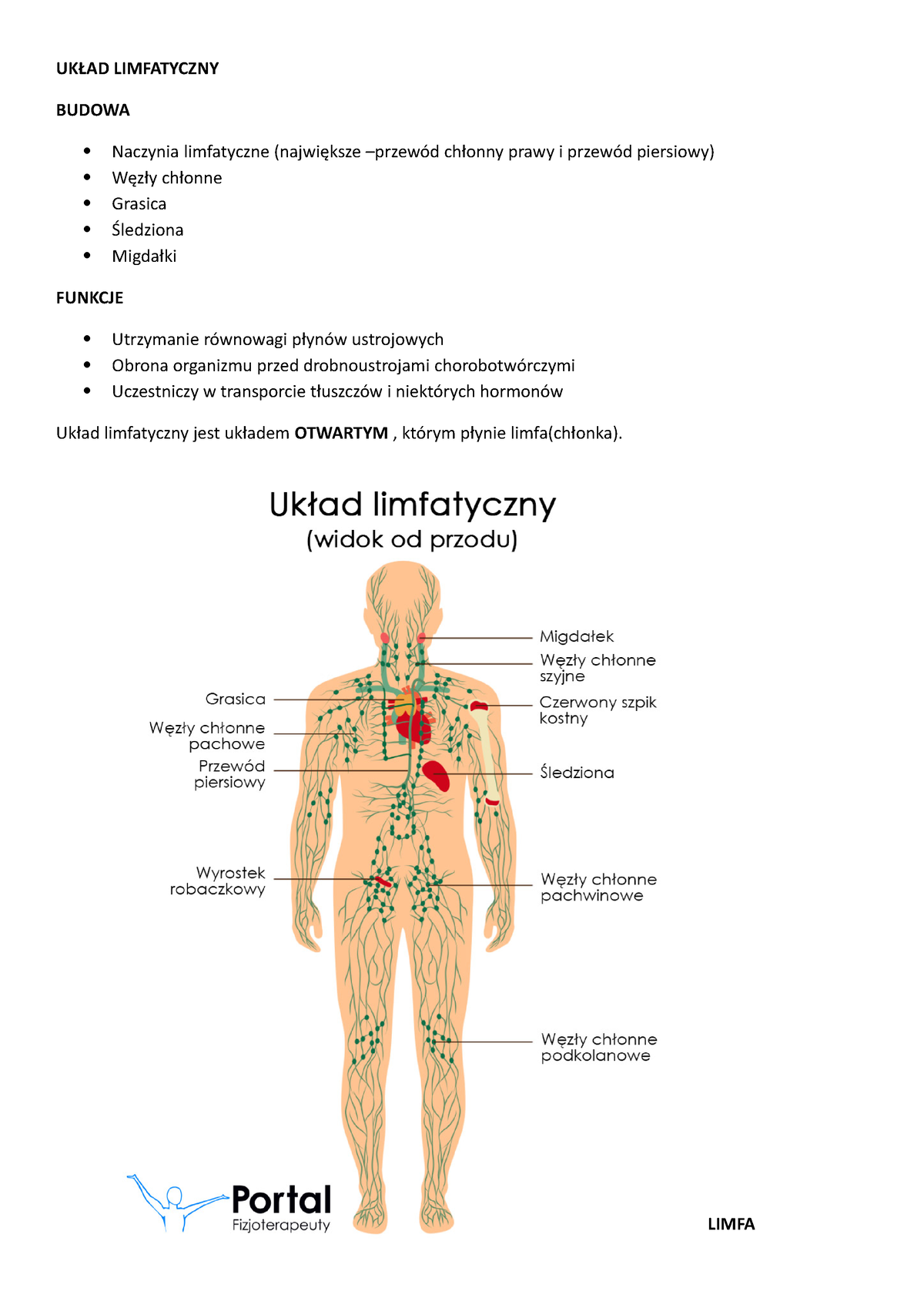 UkŁad Limfatyczny UkŁad Limfatyczny Budowa Naczynia Limfatyczne