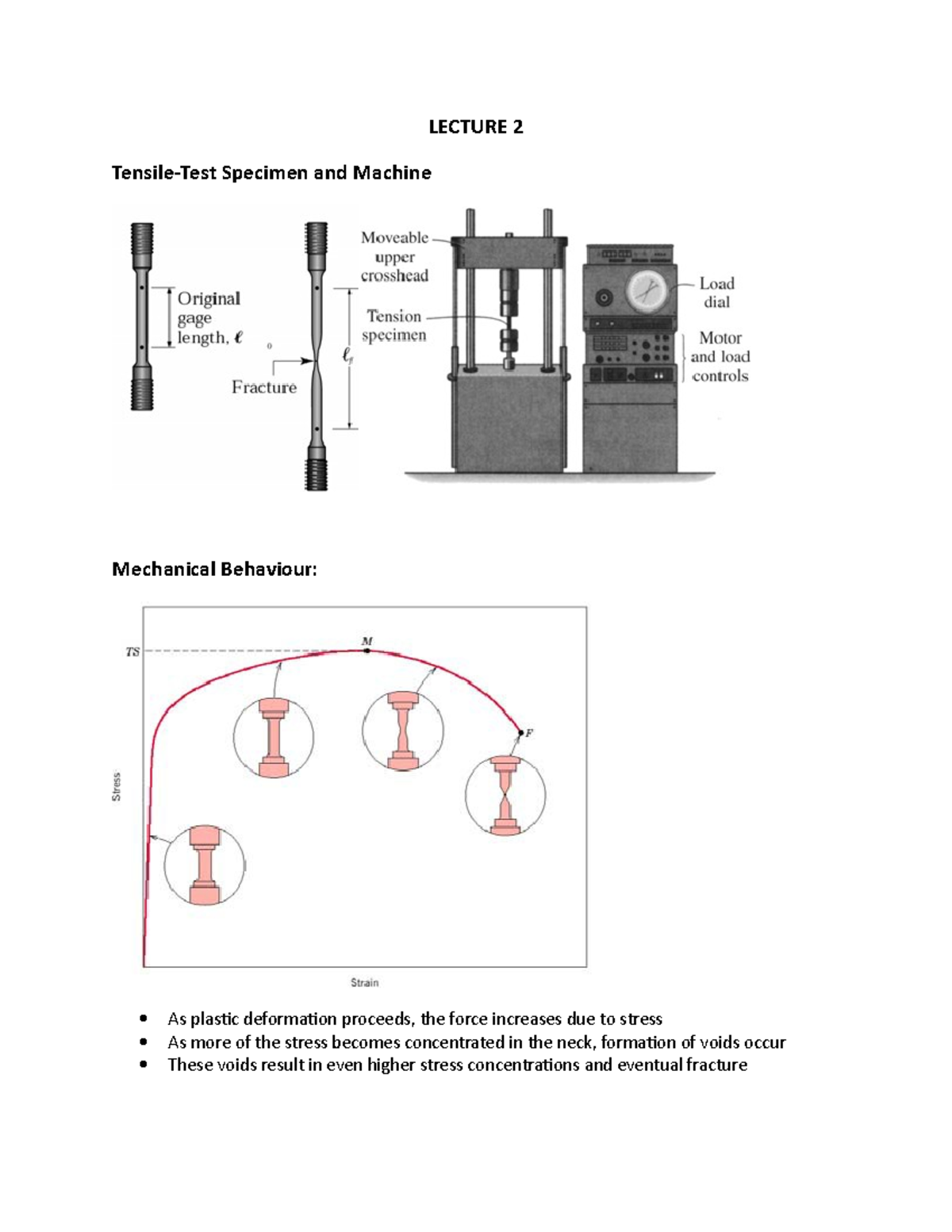 Lecture 2 - stress and strain - LECTURE 2 Tensile-Test Specimen and ...