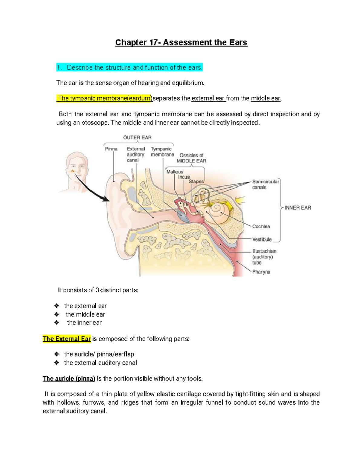 Nurs 3614-Chap 17-Ears - Chapter 17- Assessment The Ears 1. Describe ...