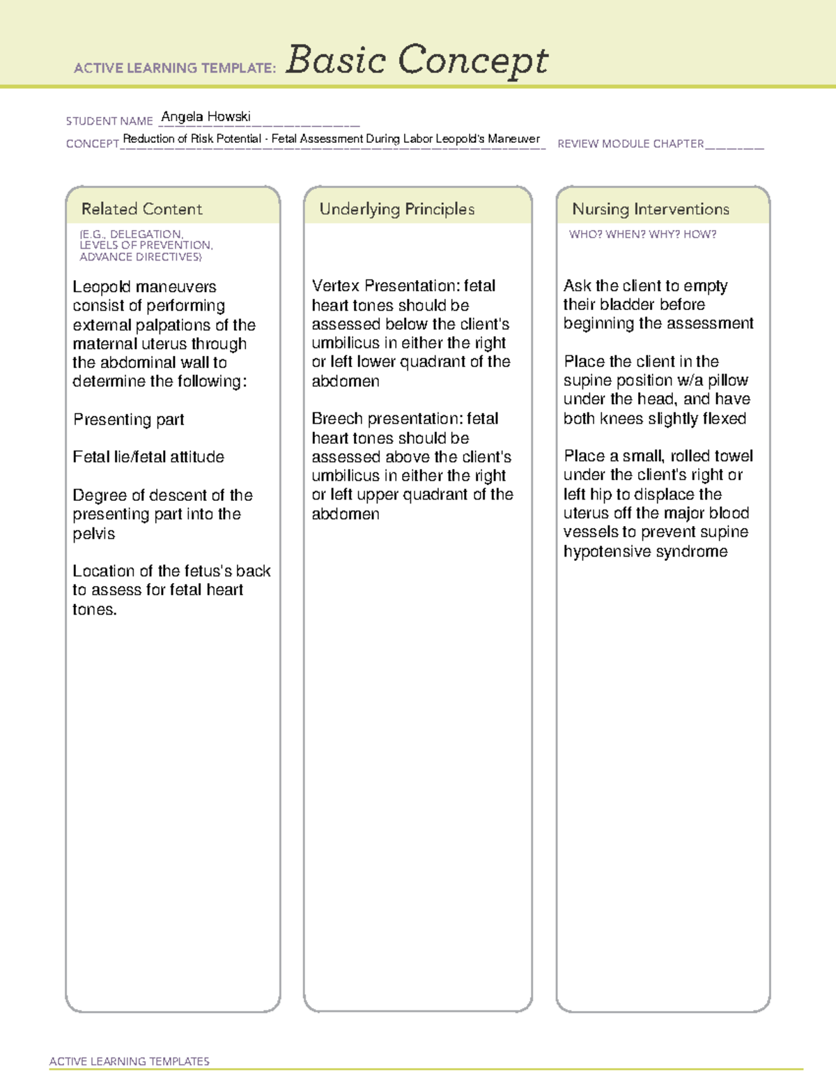 Remediation B Template Reduction of Risk Potential Fetal Assessment ...