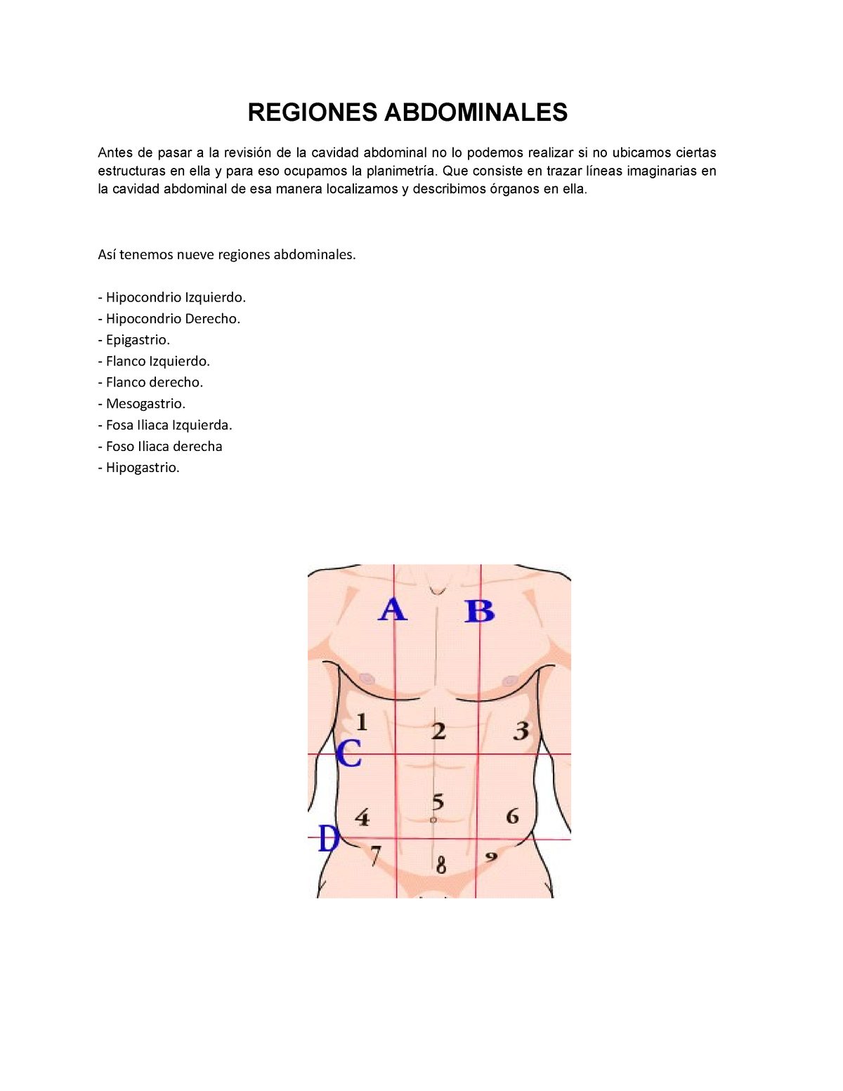 Regiones Abdominales - ,AFDX - REGIONES ABDOMINALES Antes De Pasar A La ...