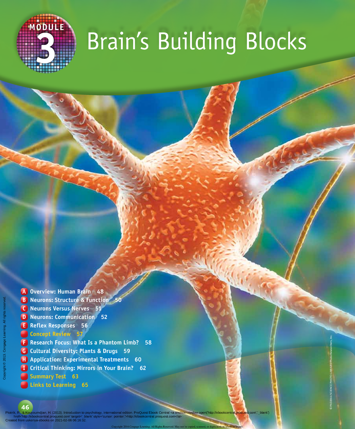 Introduction To Psychology International Edition Part 2 Module Brain Studocu
