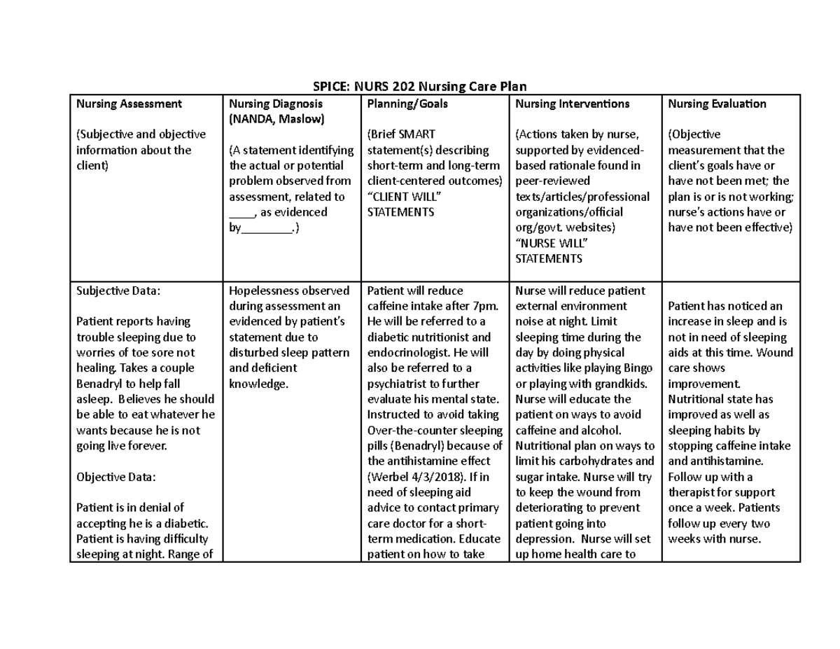 NURS 202 Nursing Care Plan 3 - SPICE: NURS 202 Nursing Care Plan ...