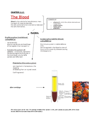 2Blood - Erythrocytes - Blood – Erythrocytes Sherwood 9th edition ...