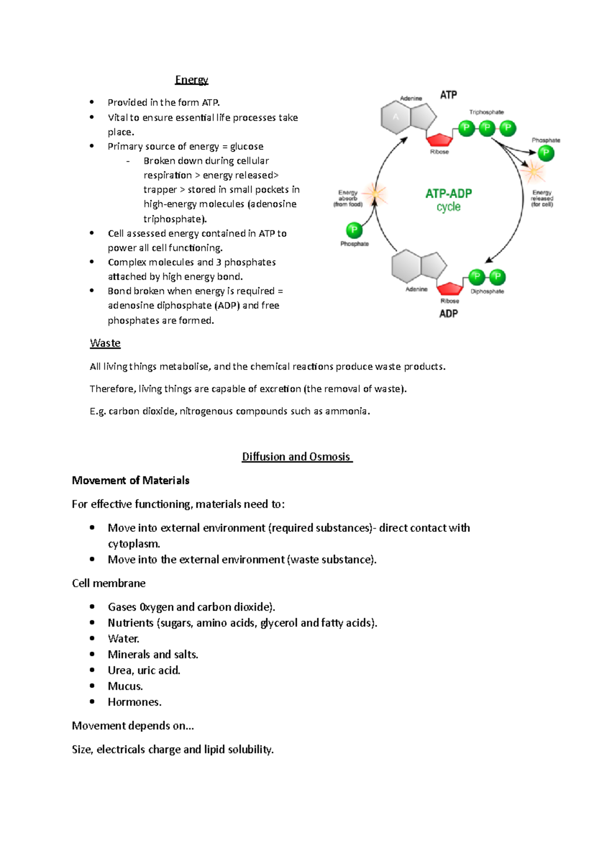 Diffusion and Osmosis - Energy Provided in the form ATP. Vital to ...