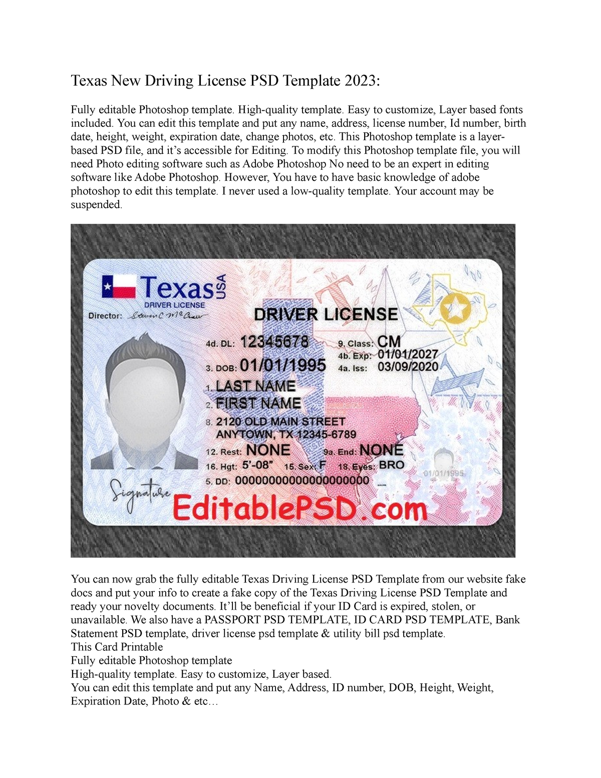 Drivers License Template 