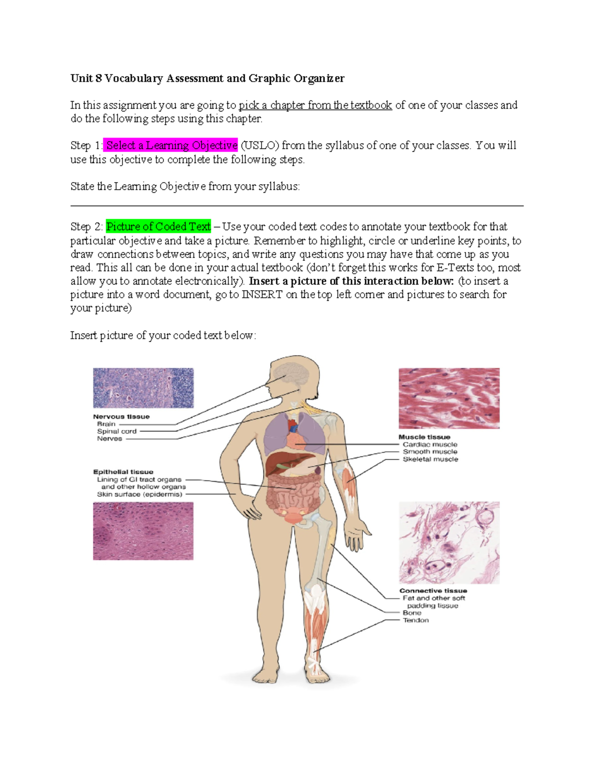 Taylor Evans Unit 8 Graphic Organizer - Unit 8 Vocabulary Assessment ...