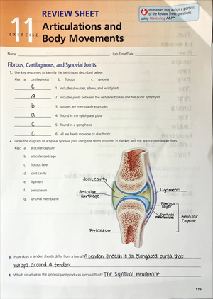 Cell Cycle Webquest Cell Cycle Webquest Please Be Sure To Change Color Or Highlight Any