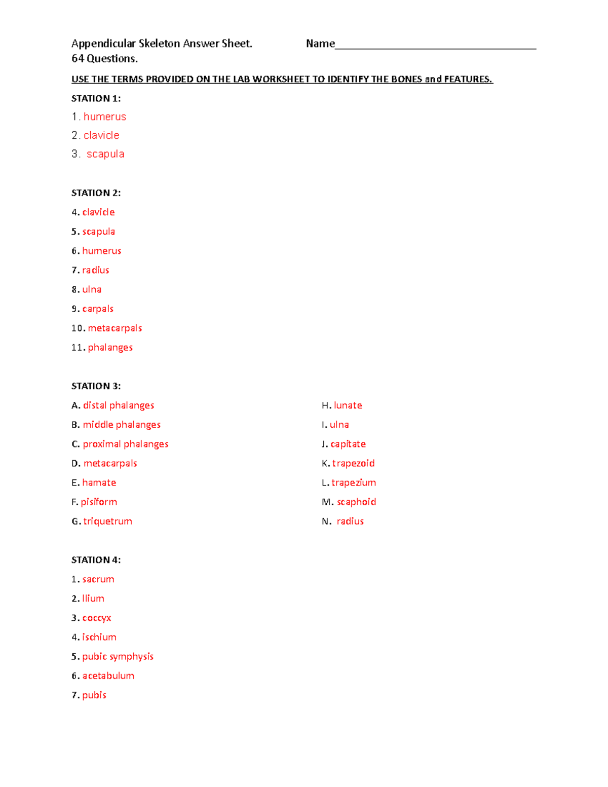Appendicular Skeleton Answer Sheet - Name ...