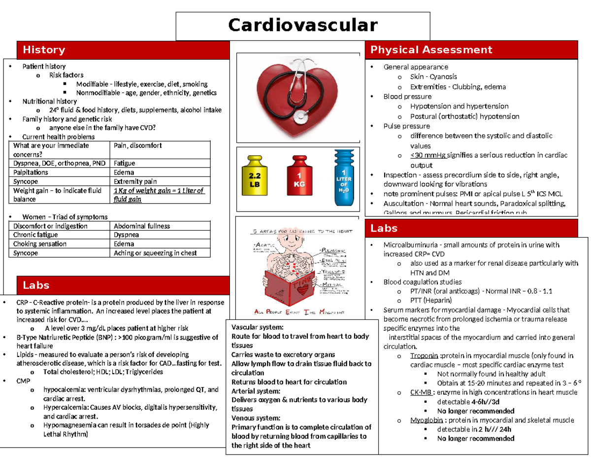 Cardiovascular Assessment - Cardiovascular Assessment • Patient history ...