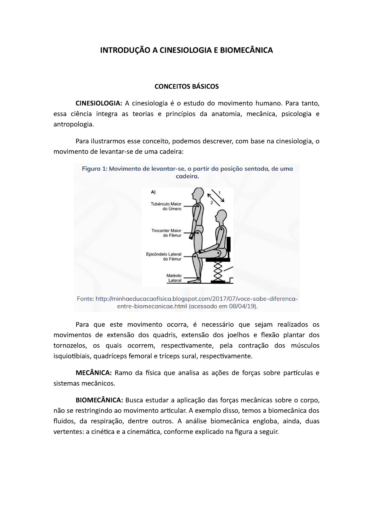 Significado de Anamnese - Cinesiologia e Biomecânica