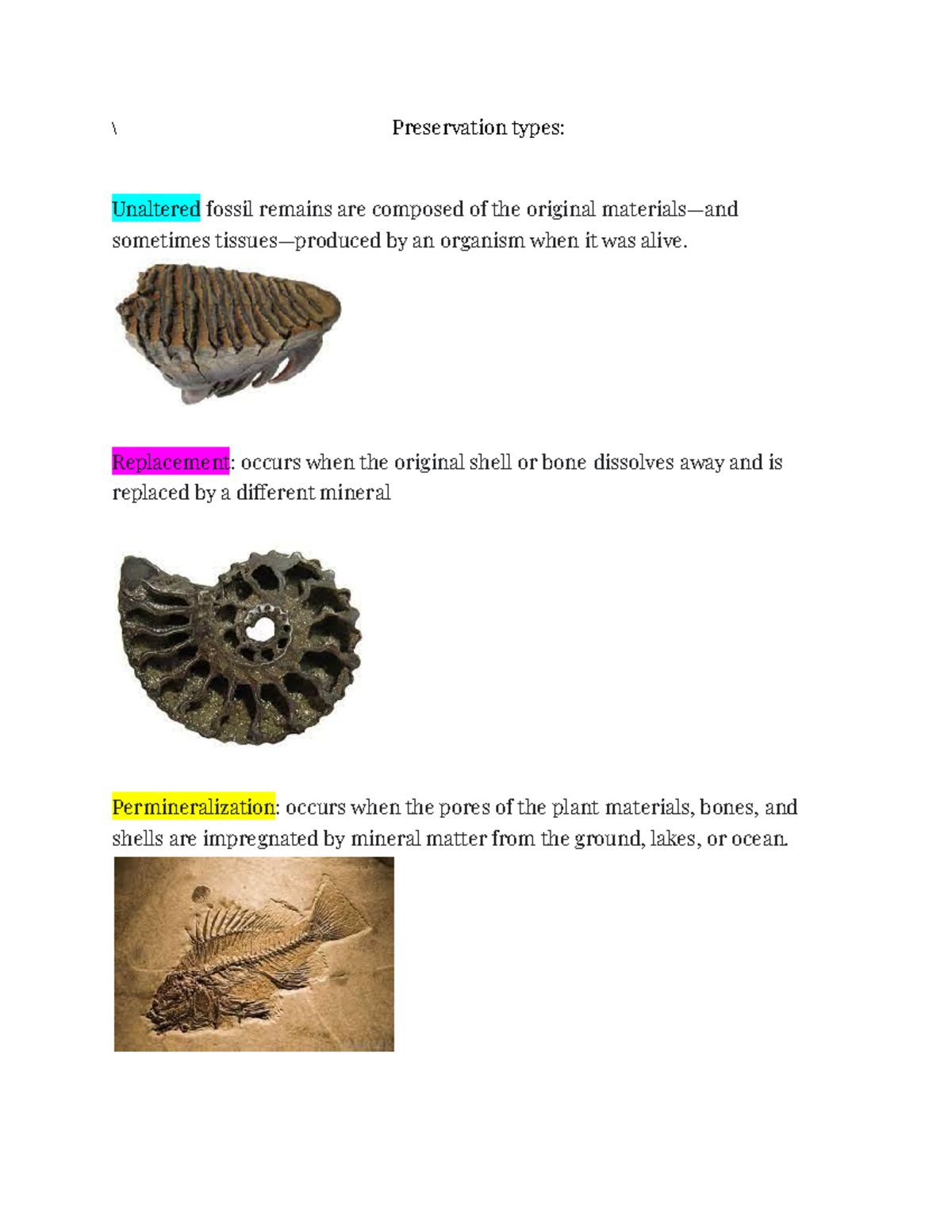 Lab Exam #2 Review - Helped With In Class Activity, Test ...