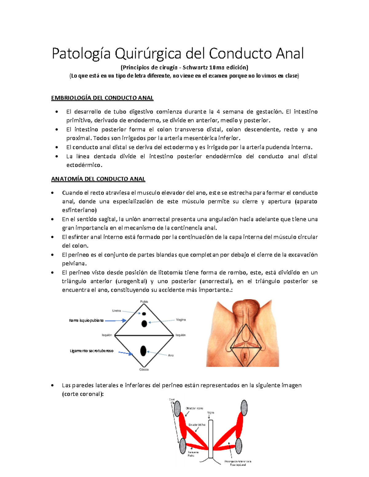 dolor perineal letra dolor perineal letra