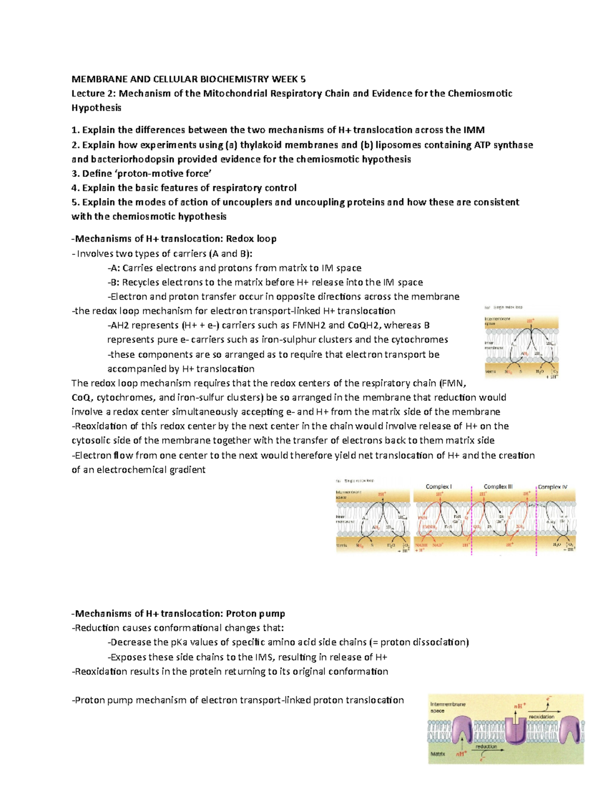 experimental evidence supporting the chemiosmotic hypothesis