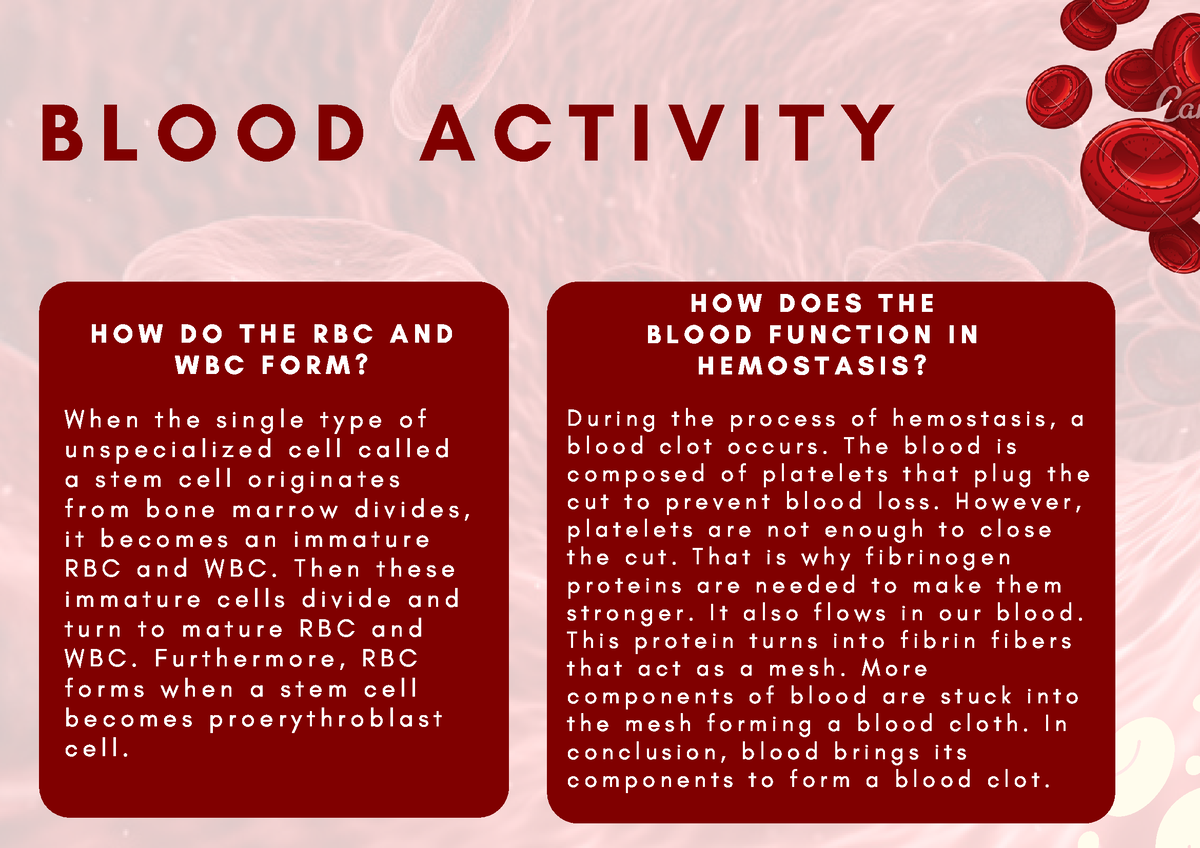 Anatomy and physiology Blood Activity (paharmacy) - OLFU - Studocu