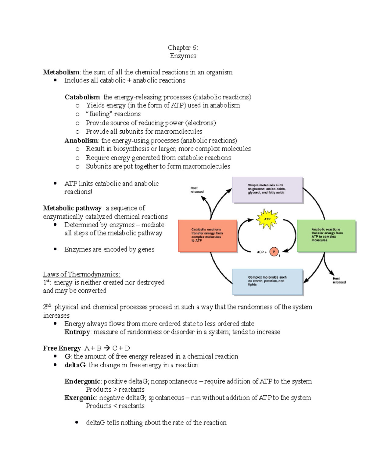 Chapter 6 - Patricia Rossi MCB 2610 - Chapter 6: Enzymes Metabolism ...