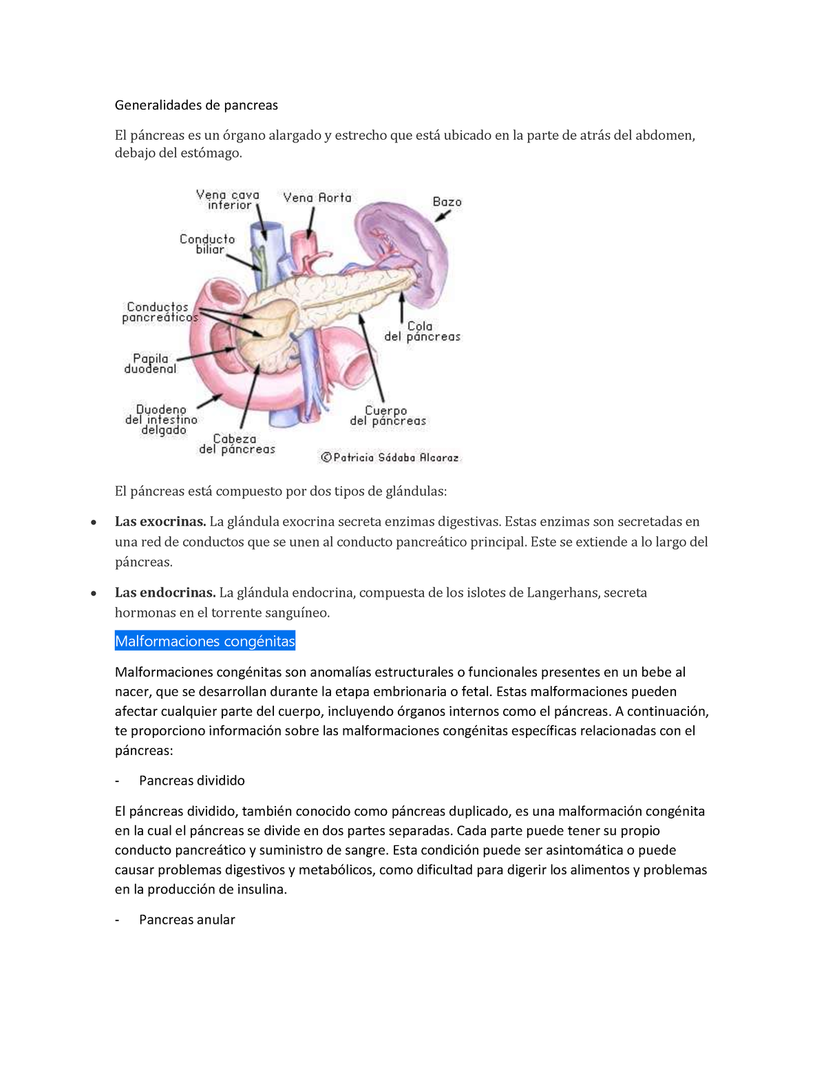 Generalidades De Pancreas - El P·ncreas Est· Compuesto Por Dos Tipos De ...