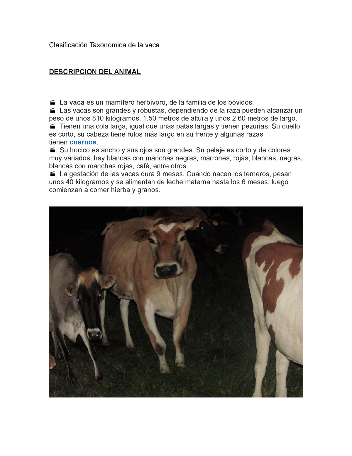 Clasificación Taxonomica de la vaca completa lista - Clasificación