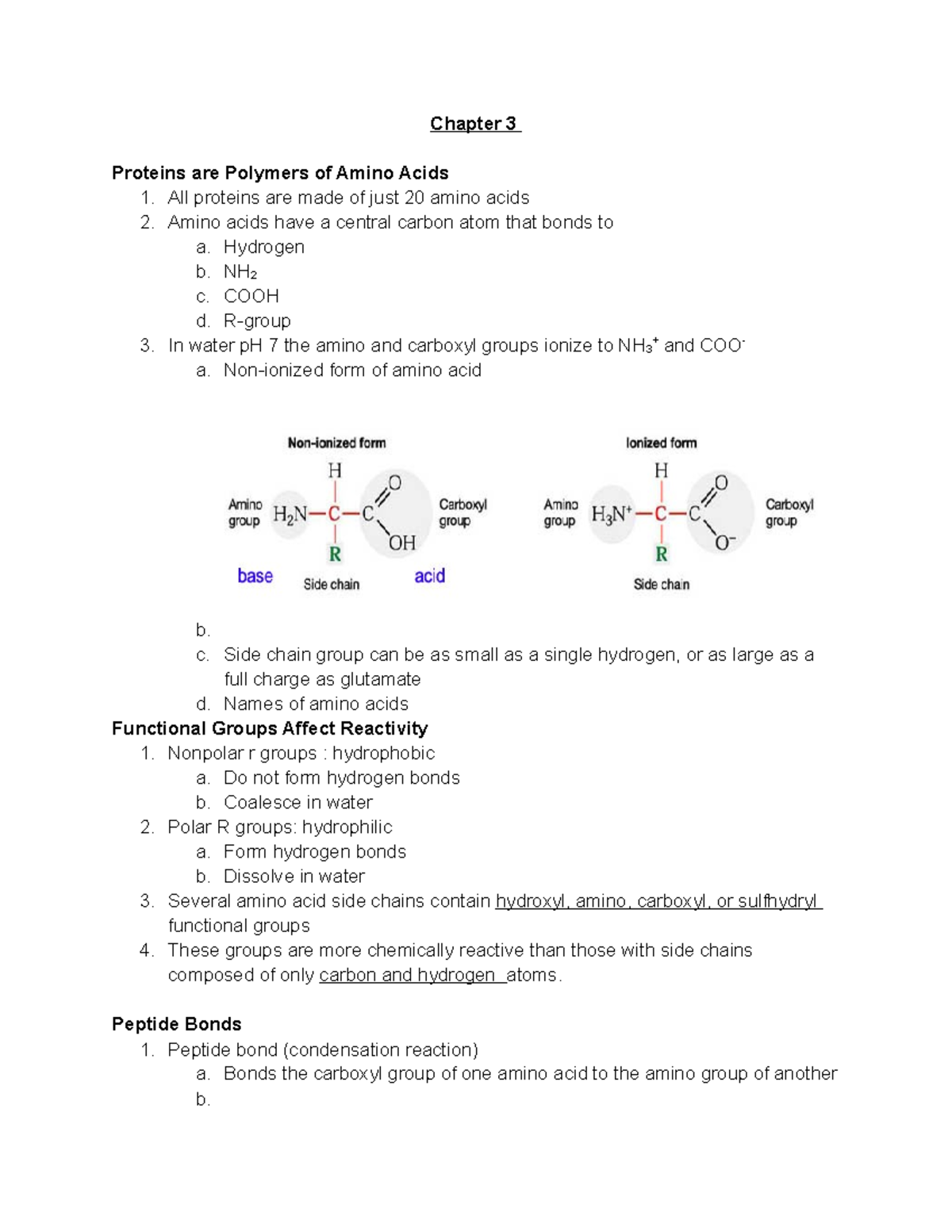Chapter 36 Proteins and Polymers Chapter 3 Proteins are Polymers