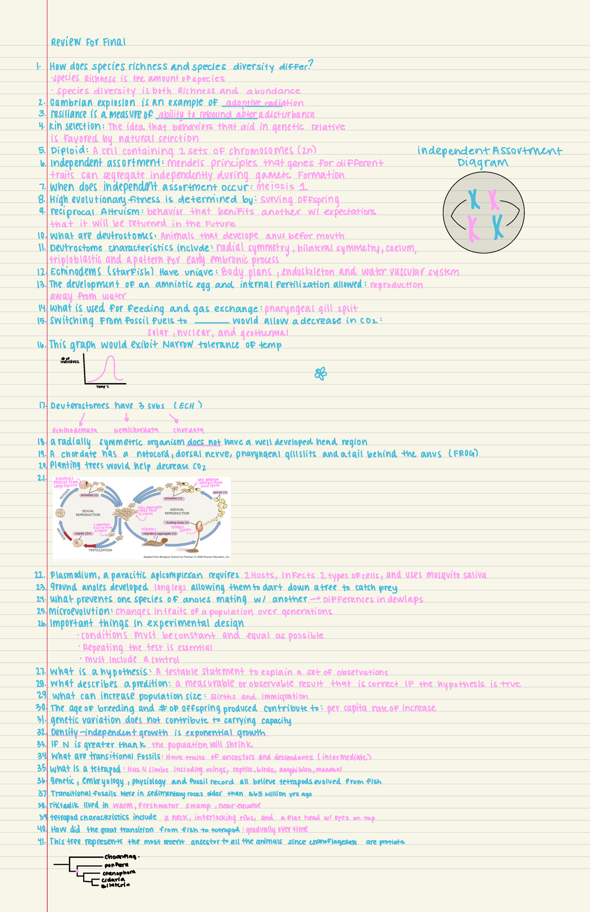 organismsl-final-review-review-for-final-how-does-species-richness