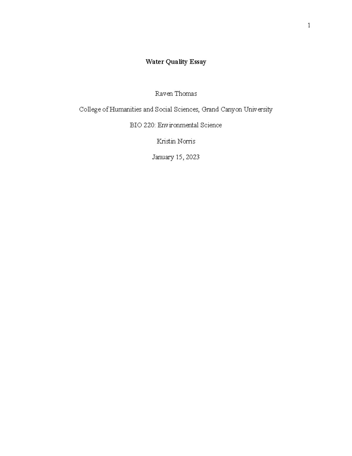 water quality issues essay