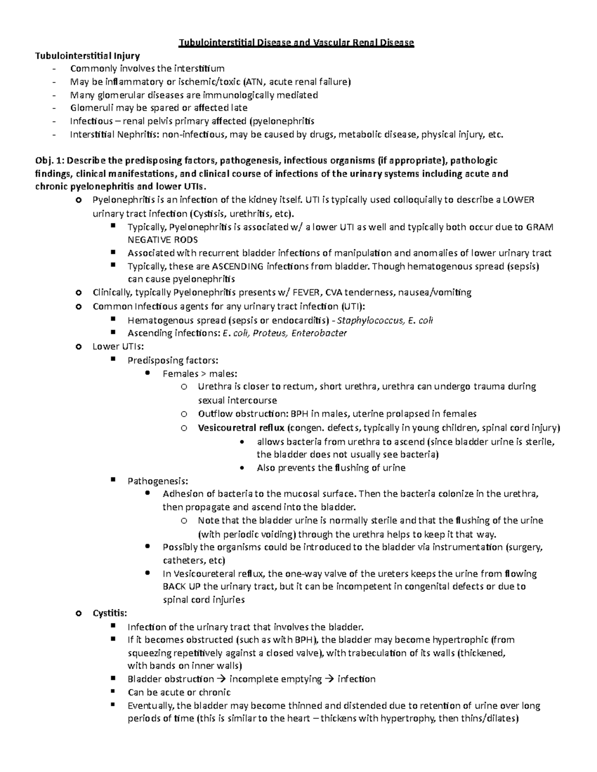 4. Tubulointerstitial Disease and Vascular Renal Disease (Speights ...