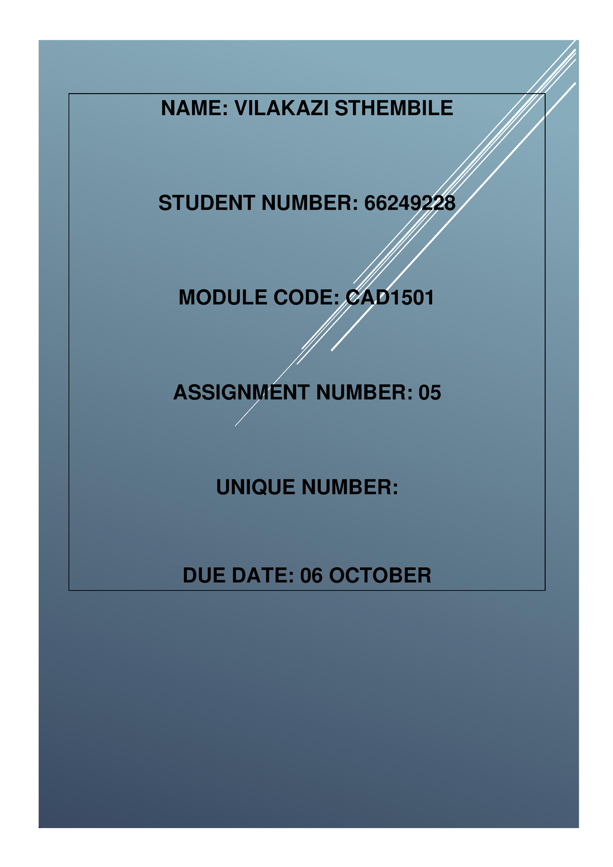 bnu1501 assignment 5 2022