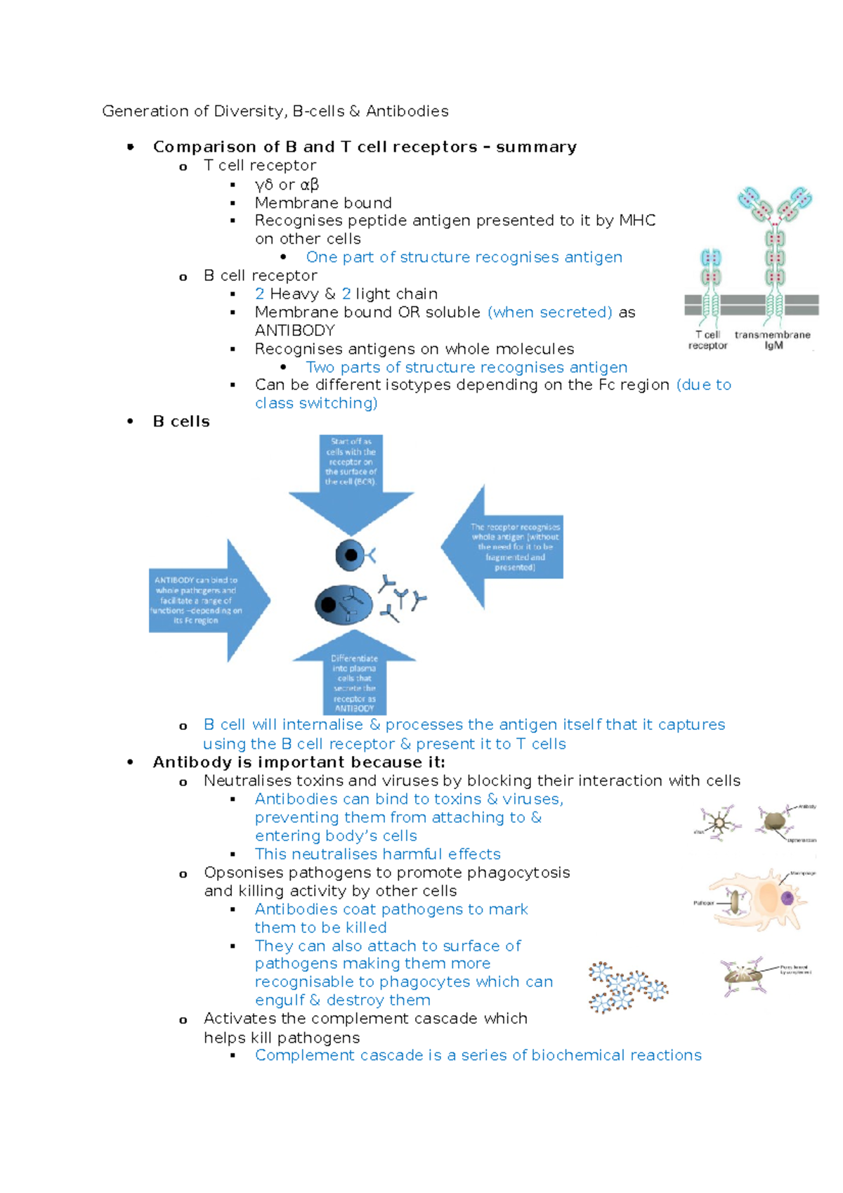 Generation Of Diversity, B-cells & Antibodies - Generation Of Diversity ...