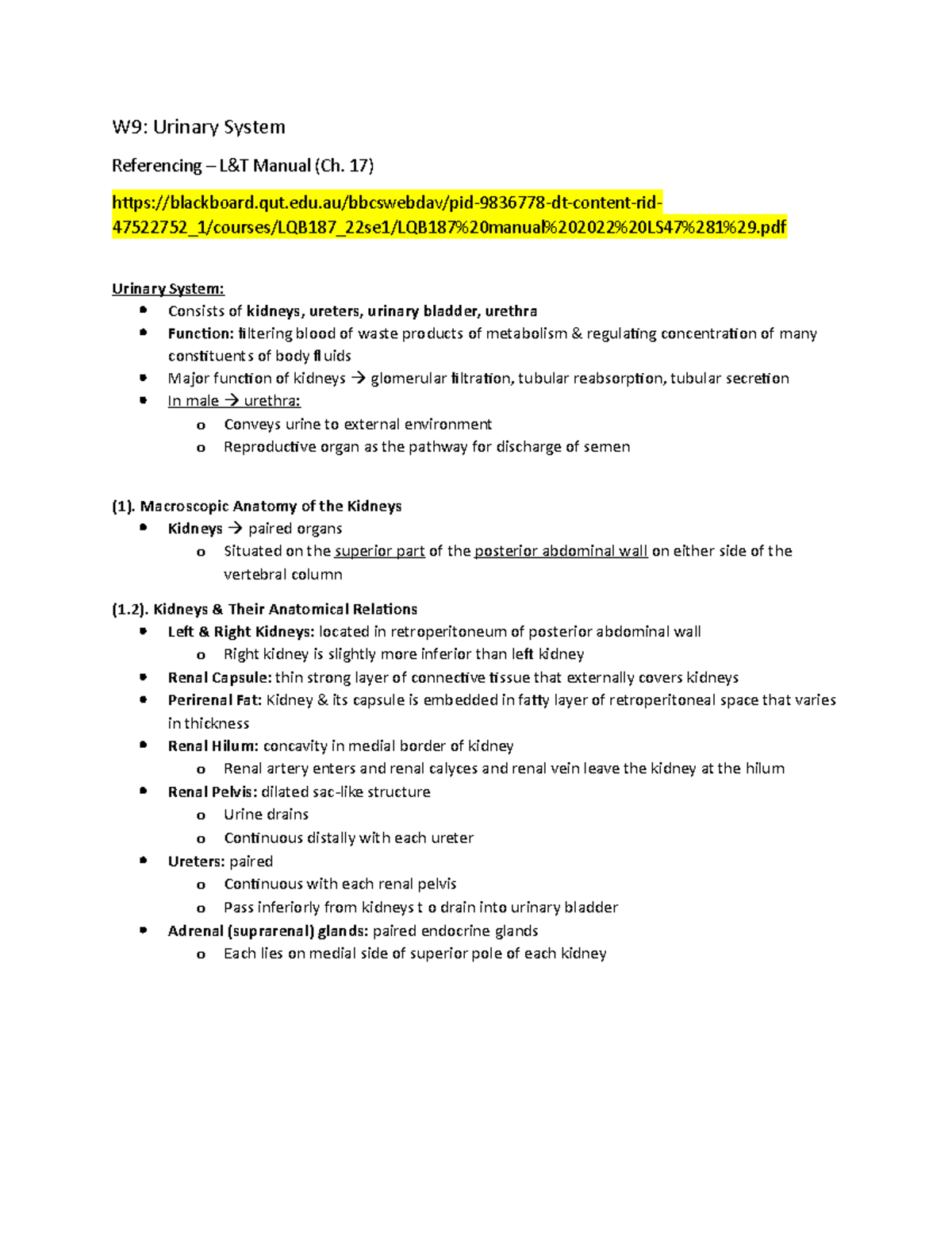Urinary System - Notes from lecture - W9: Urinary System Referencing ...
