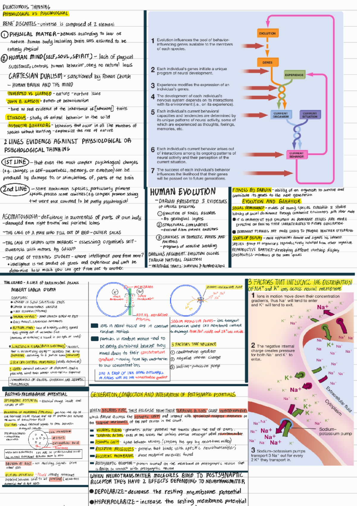 Biopsych Notes - DICHOTOMOUS THINKING PHYSIOLOGICAL V. PSYCHOLOGICAL ...