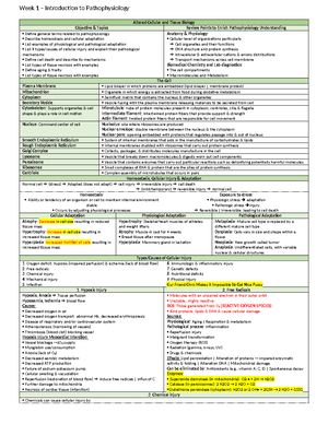 Pathocards - description - Pathophysiology: Anemia General pathology ...