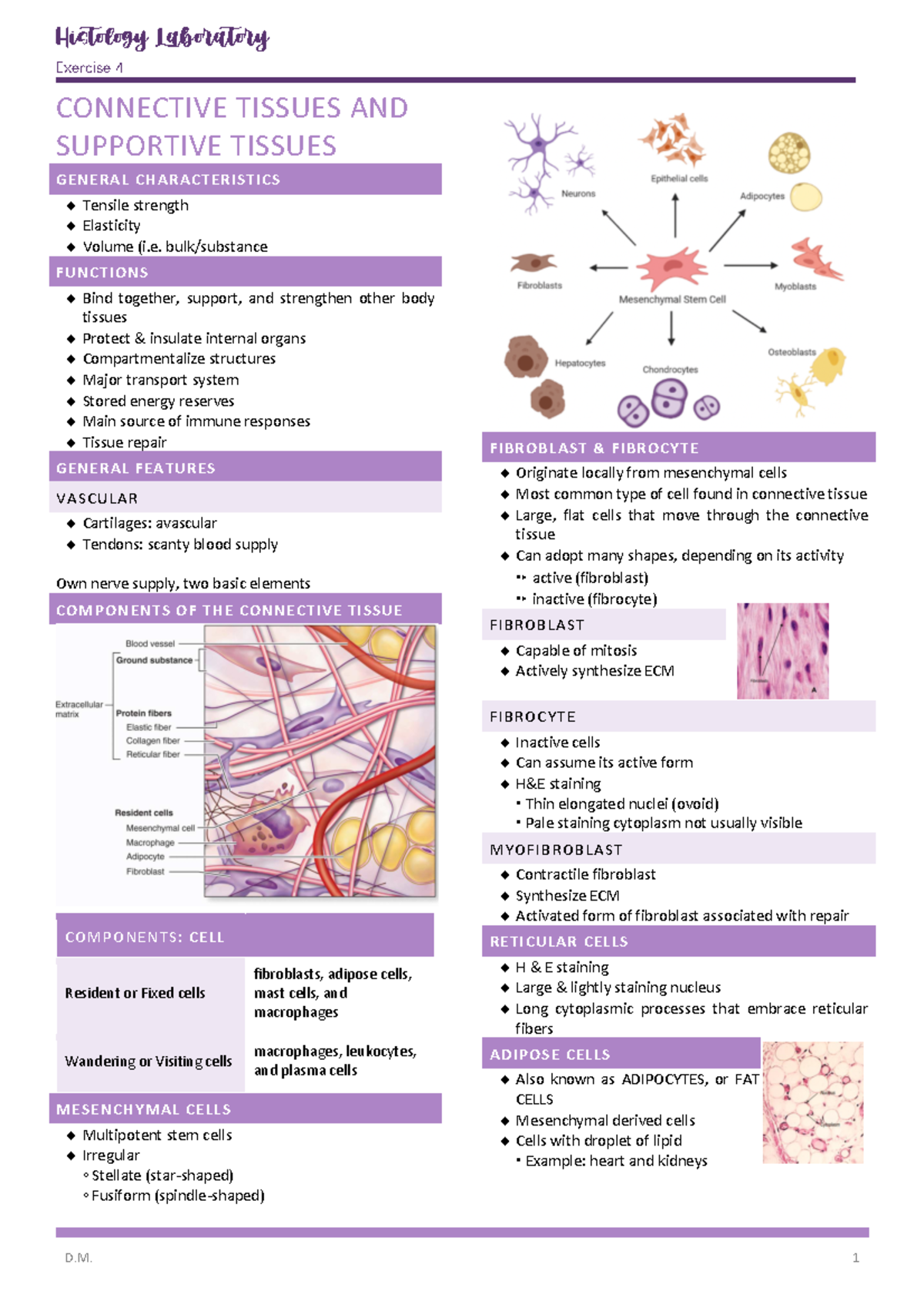 Histology Module NO. 4 - Exercise 4 CONNECTIVE TISSUES AND SUPPORTIVE ...