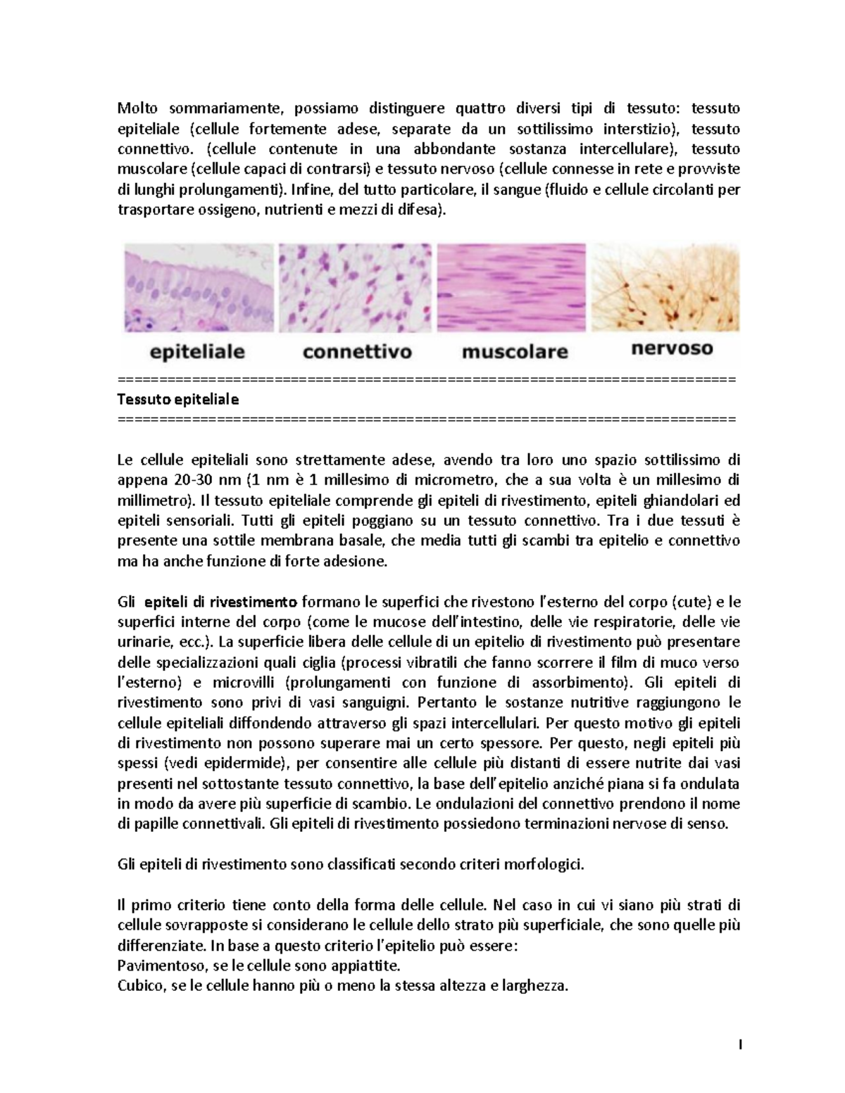 Istologia E Citologia Generale - Molto Sommariamente, Possiamo ...