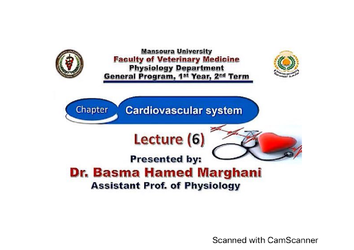 Lec 6 “circulation “ - Physiology - Studocu