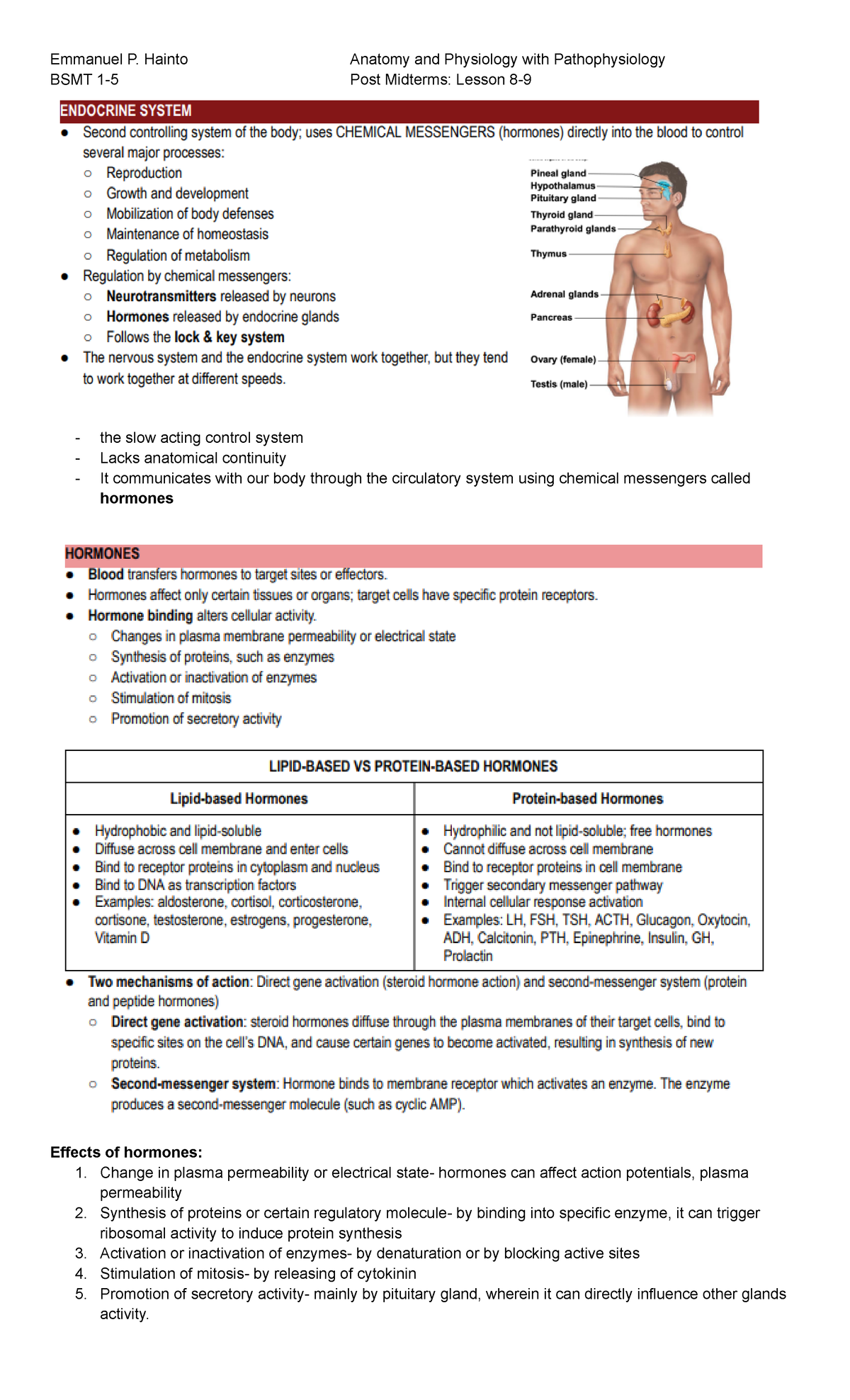 Endocrine system - BSMT 1-5 Post Midterms: Lesson 8- the slow acting ...